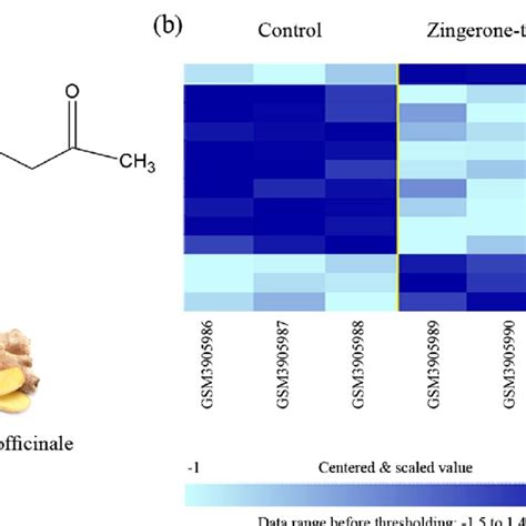 a Chemical structure of zingerone [4-(4-hydroxy-3-methoxyphenyl ...