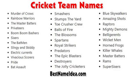 401+ Catchy & Funny Cricket Team Names for Your Batting Squad‍