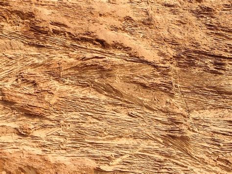 Free photo: Sandstone, Rock, Cliff, Texture - Free Image on Pixabay ...