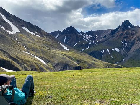 Camping in Denali National Park