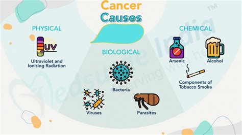 Top 10 Causes Of Cancer | Risk Factors For Cancer | Medsurge India