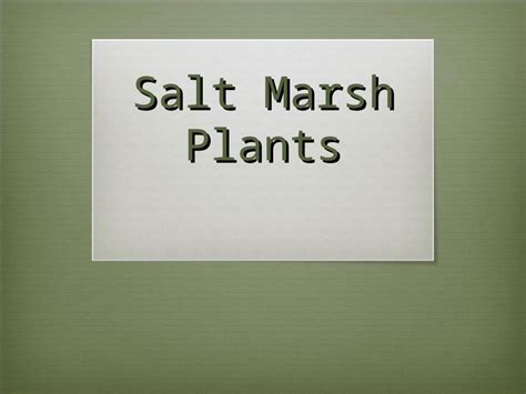 (PPT) Salt Marsh Plants. Adaptations Waxy coating to prevent water loss ...