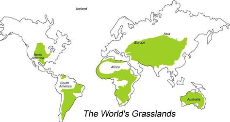 Grassland Map