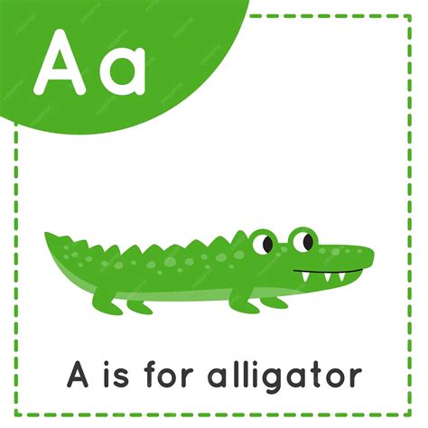 Premium Vector | Animal alphabet flashcard for children. learning ...