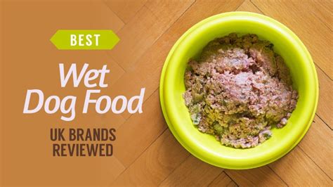 Best Wet Dog Food to Buy 2024 [For all Budgets]