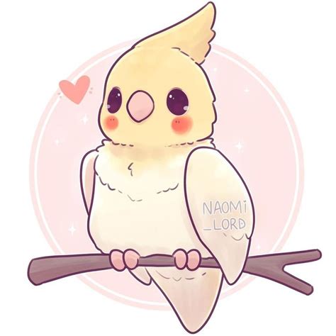 Naomi Lord on Instagram: “ 💕As requested a little kawaii Cockatiel 💕 ...