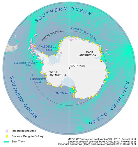 Antarctica Map and Satellite Imagery [Free]