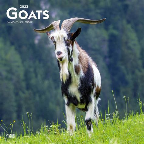 Goats | 2023 Square Wall Calendar – BrownTrout