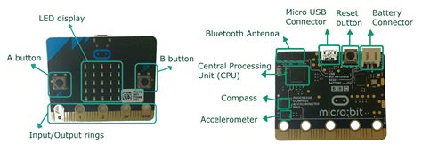 Introduction and Anatomy of the BBC Micro:bit | Emma Henry