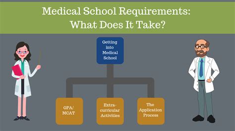 Medical School Requirements: The Ultimate Guide (2024-2025) | MedEdits