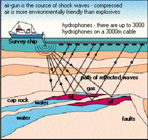 The Environmental Impacts of Offshore Oil Drilling | Soapboxie