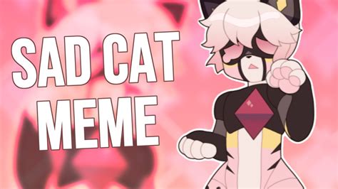 SAD CAT DANCE || MEME - YouTube