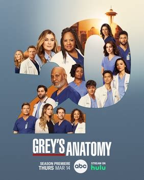 Grey's Anatomy season 20 - Wikipedia