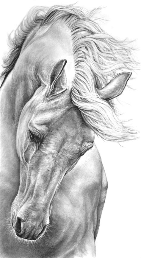 Saatchi Art Artist Heidi Kriel; Drawing, “free” #art | Pencil portrait ...