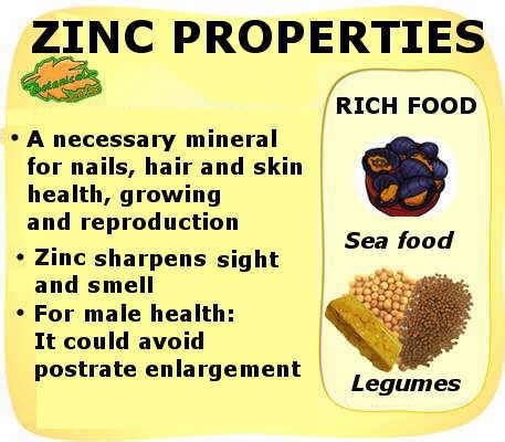 Zinc properties – Botanical online