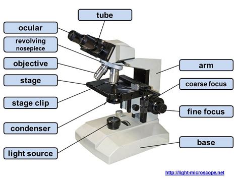 Microscopy-Pictures: Parts and components of a light microscope