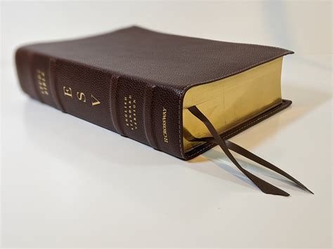 Leather bound esv bible - masawo