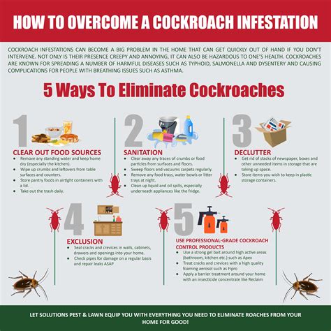 How to Treat a 65-Inch TV Infested with Cockroaches | BedBugs