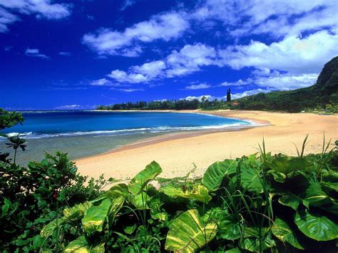 Hawaiian Beach Wallpapers - Wallpaper Cave