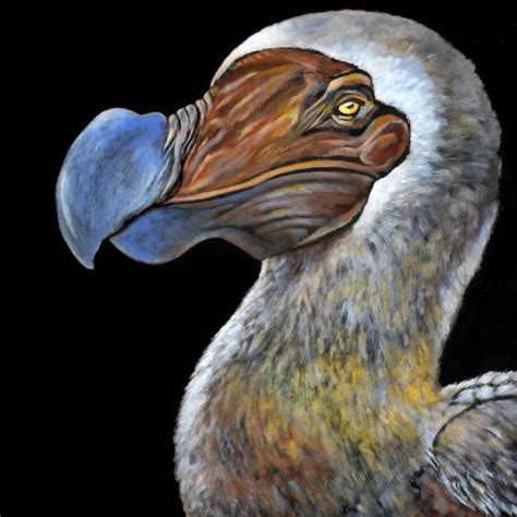 Dodo Bird Painting 8.5 X 11 Print From Original | Etsy | Birds painting ...