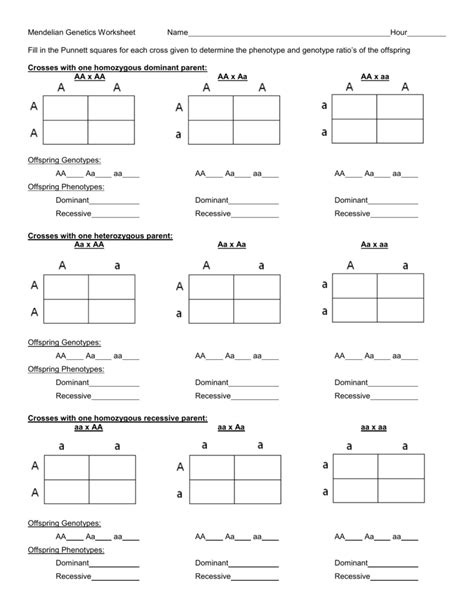 Punnett Square Worksheet 1 Answer Key - inspiredeck