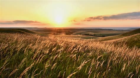 Photo gallery: Fall comes to the Konza Prairie | K-State Alumni Association