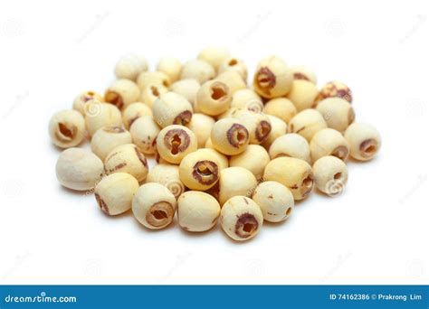 Dried lotus seeds. stock photo. Image of background, bean - 74162386