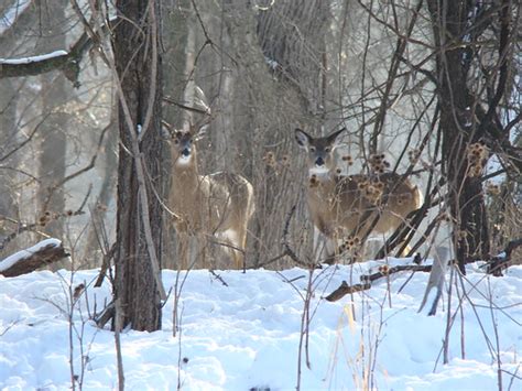 Fort Snelling State Park - Pike Island | We took a winter hi… | Flickr