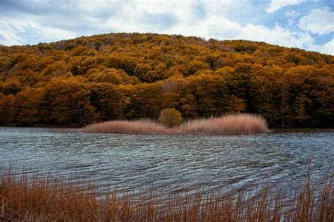 Wallpaper : river, trees, autumn, grass 4000x2667 - wallhaven - 1199722 ...