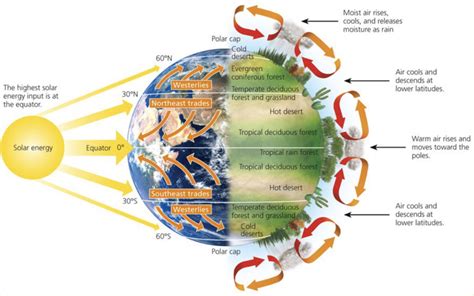 Unit 3 Contested Planet: A1: Global Atmospheric Circulation Diagram ...