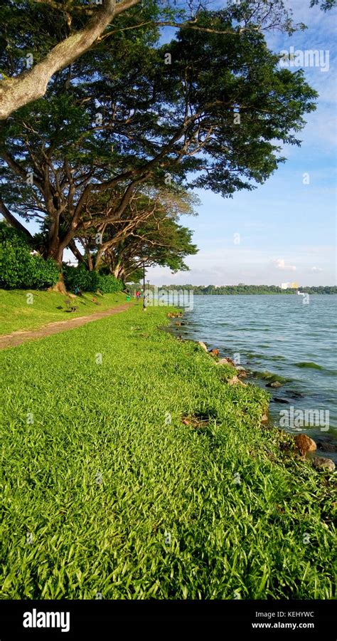 Kranji reservoir in Singapore during hot afternoon Stock Photo - Alamy