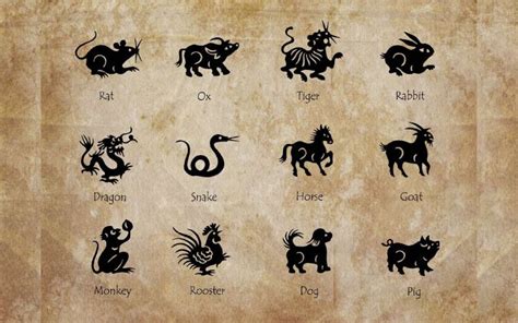 12 Birth Animals by Chinese Zodiac To Know About Your Instinctive Nature