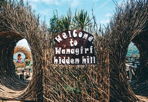 Wanagiri Hidden Hills - Bali's famous swing & Instagram spots!