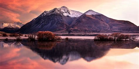 World Nature Photography Awards 2021 Winners