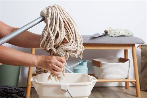 6 Different Types of Mops and Their Uses