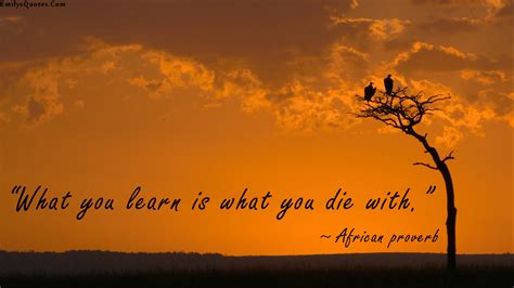 What you learn is what you die with | Popular inspirational quotes at ...