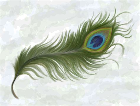 Free Peacock Feather, Download Free Peacock Feather png images, Free ...