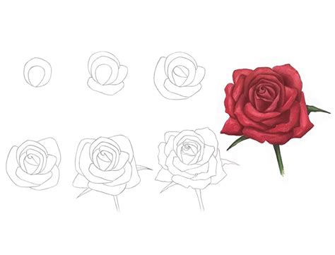 How To Draw A Rose For Beginners With Pencil Step By Step - Infoupdate.org