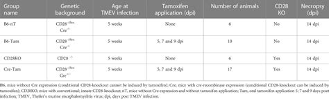 Table 1 from CD28-signaling can be partially compensated in CD28 ...