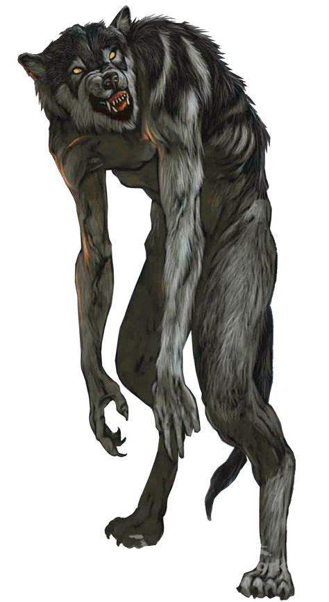 Pin by Tara Garrett on Weres | Werewolf art, Werewolf drawing, Werewolf