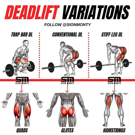 Sion Monty 🏴󠁧󠁢󠁷󠁬󠁳󠁿 on Instagram: “DEADLIFT VARIATIONS by @sionmonty ...