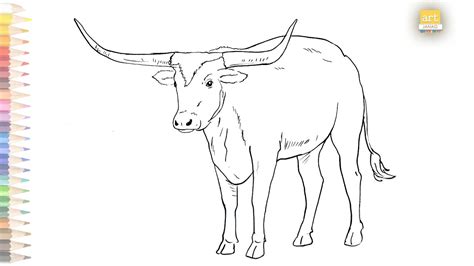 Longhorn Cattle Drawing