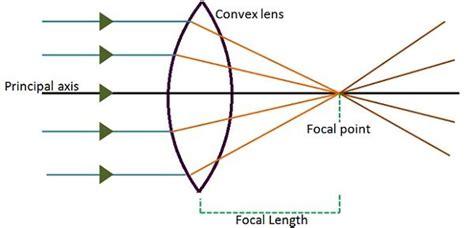 Difference Between Convex and Concave Lens (with Figure, Example and ...