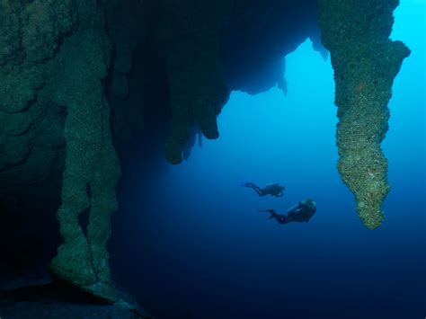 Belize Blue Hole / 5 Amazing Blue Hole Photos - Belize Blue Hole! : The ...