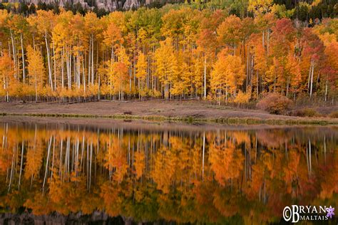 Colorado Fall Colors Photos-Pictures of the Rocky Mountains in Autumn