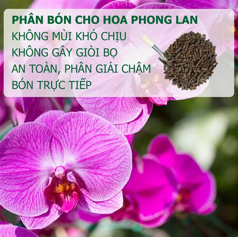 NEEMZYME - 1 KG - Phân bón hữu cơ vi sinh, dạng hạt. Sử dụng cho diện ...