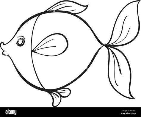 detailed illustration of a fish line art on white Stock Vector Image ...