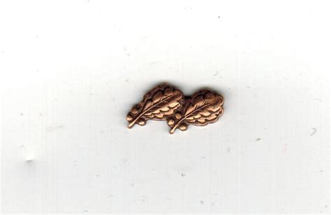 BRONZE OAK LEAF CLUSTER - 2 - SemperFiCo.com