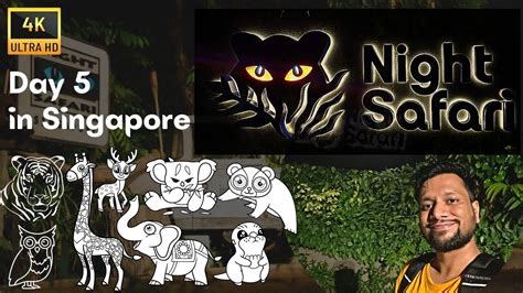 Night Safari - An Unforgettable Experience! - Day 5 in Singapore! - YouTube