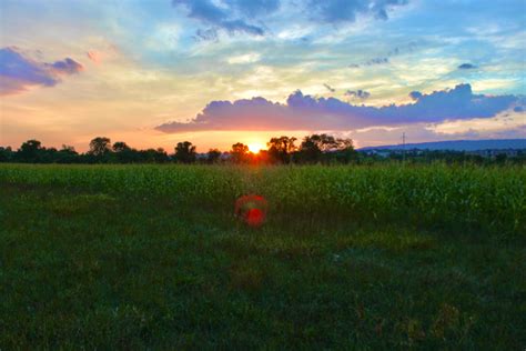 I took this on some farm land! : r/sunset